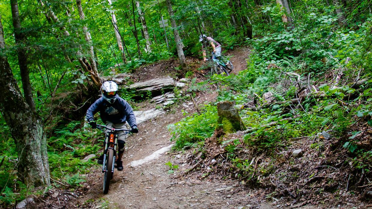 Vélo de montagne hotsell massif du sud