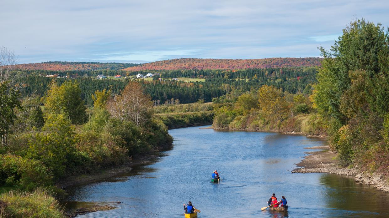 Kayak sur la rivière Etchemins